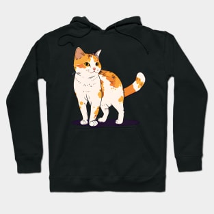 I Love My Lady Cat - Funny Cats Hoodie